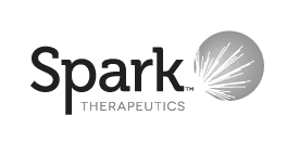 spark_transparent_grayscale