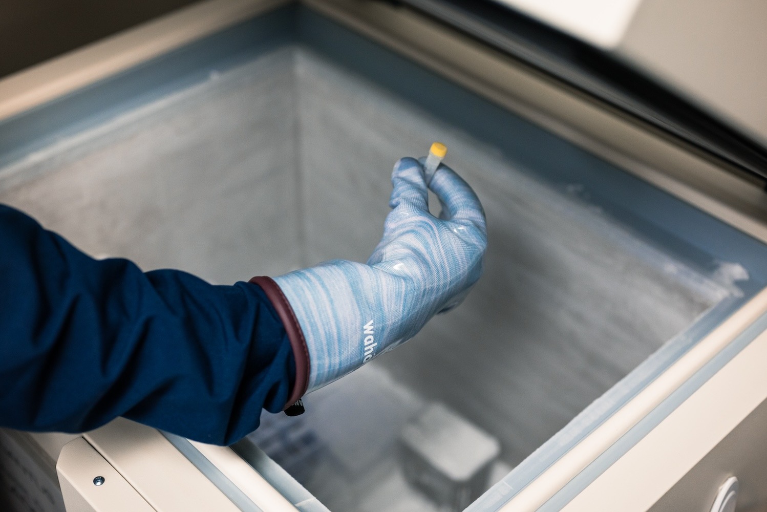 Quantus_LAB-12_isolate preservation_bio-storage-service